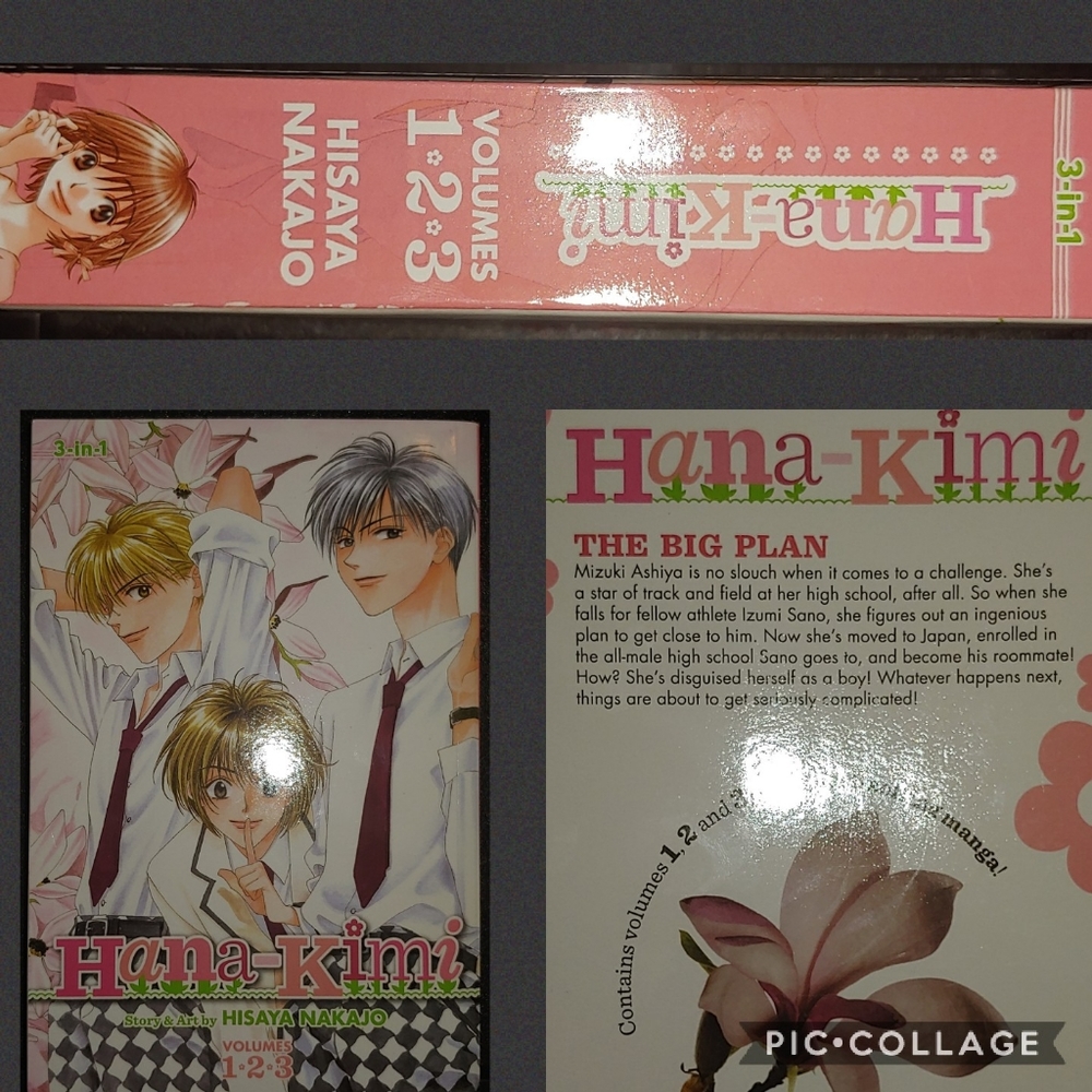 Hana Kimi 3 in 1 Manga
